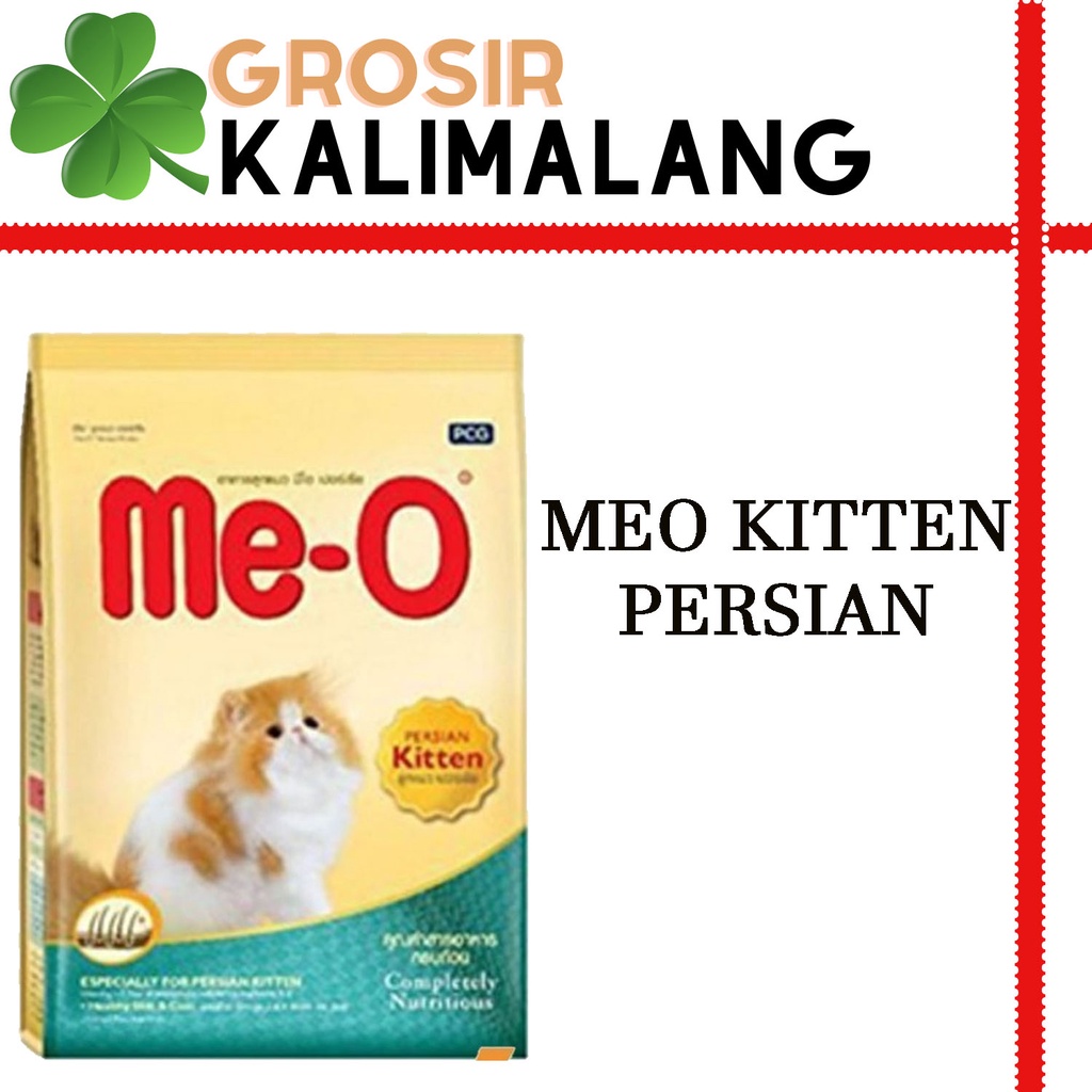 Meo Kitten Persian 6.8k (Ekspedisi)