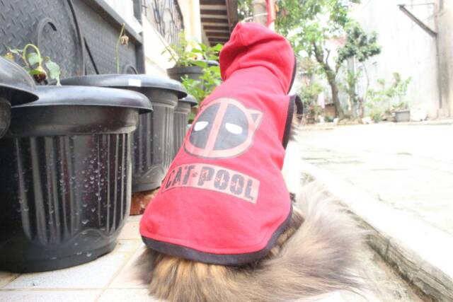 Kaos hoodie sablon catpool parody deadpool / baju kucing lucu / baju kucing murah