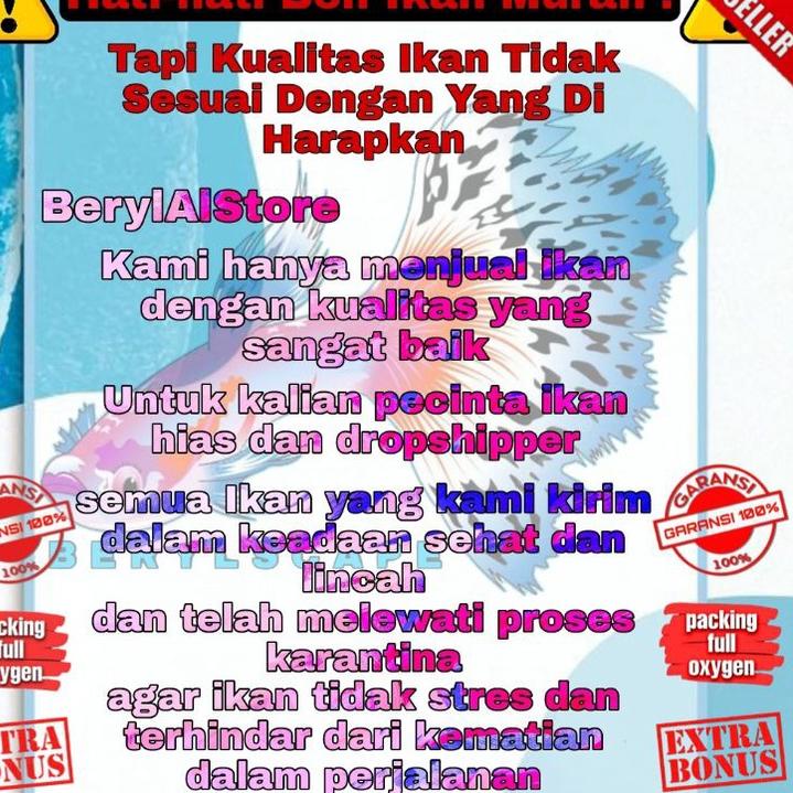 ♨ Pbass Mono Size 11-13cm GOOD MARKING ♛