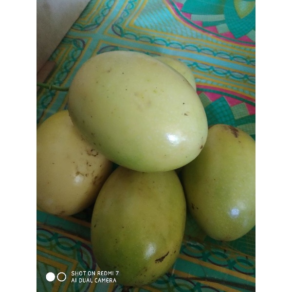 

buah markisa segar per500gr