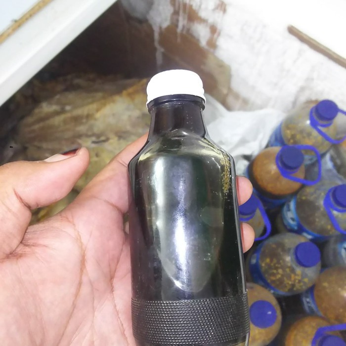 

Minyak Hiu Hitam Khas Pangandaran