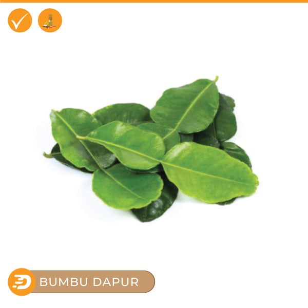 

Daun Jeruk SEGAR BUMBU DAPUR BERKUALITAS SEGAR harga per pack