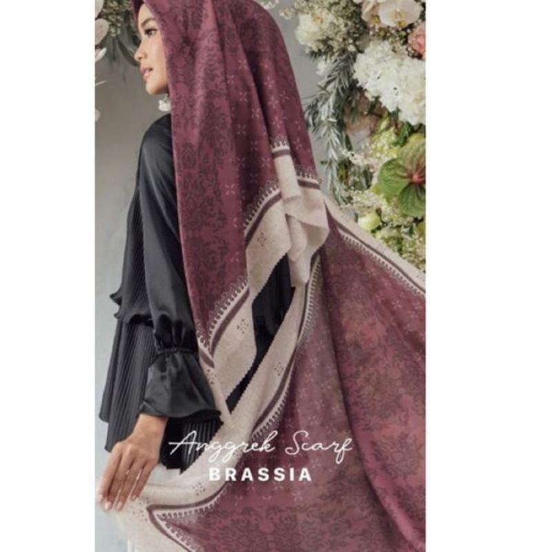 SALE  Brassia anggrek scraft wearing klamby RARE PL