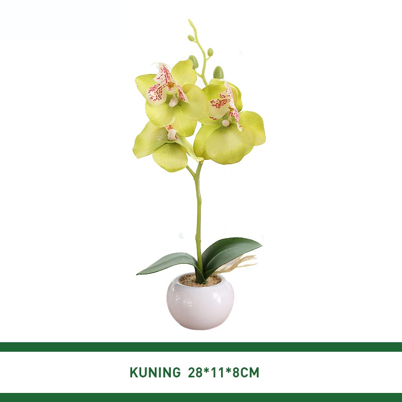 Aonez Bunga hias anggrek  phalaenopsis bunga dekorasi 