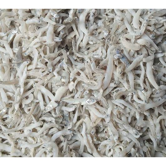 

PAKET RESELLER - 5KG IKAN TERI NASI KASAR