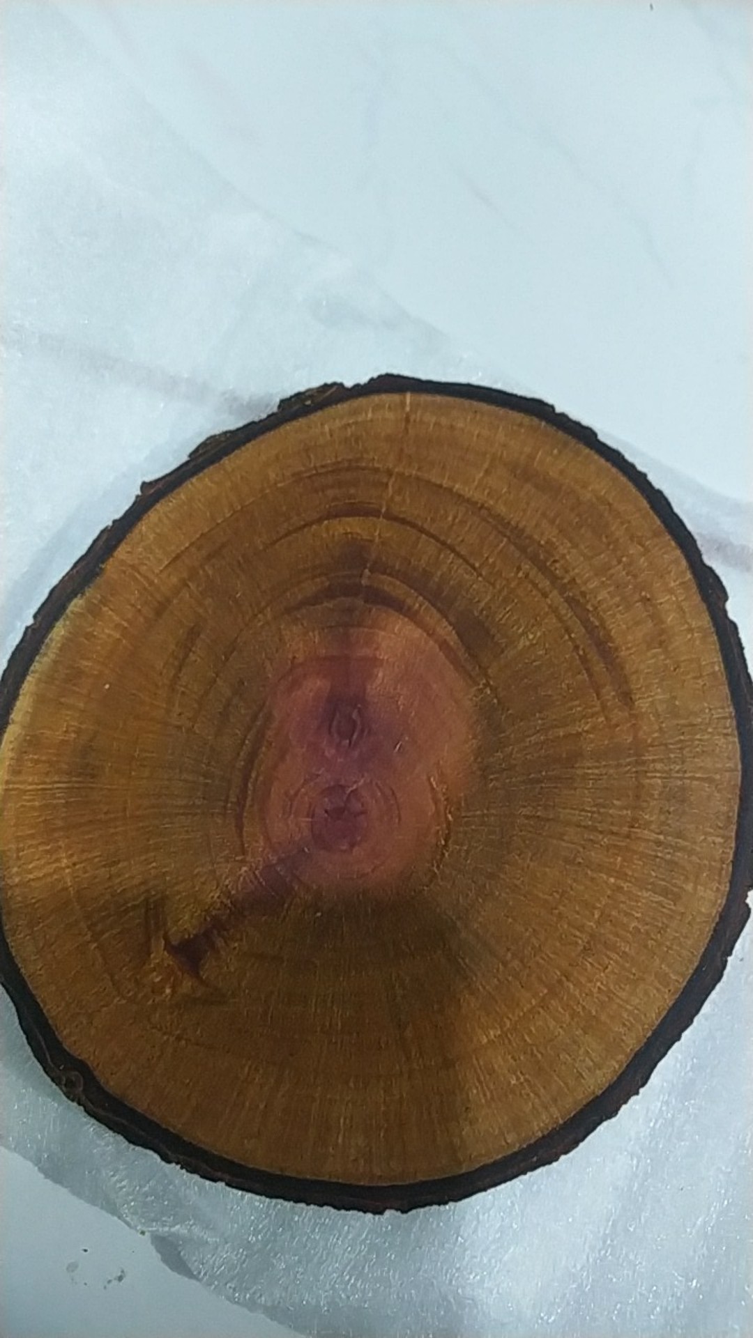 Dekornata Wooden Slice 10-14 Cm / Wood Slice/ Potongan Kayu Decor/alas Cangkir / Dekornata