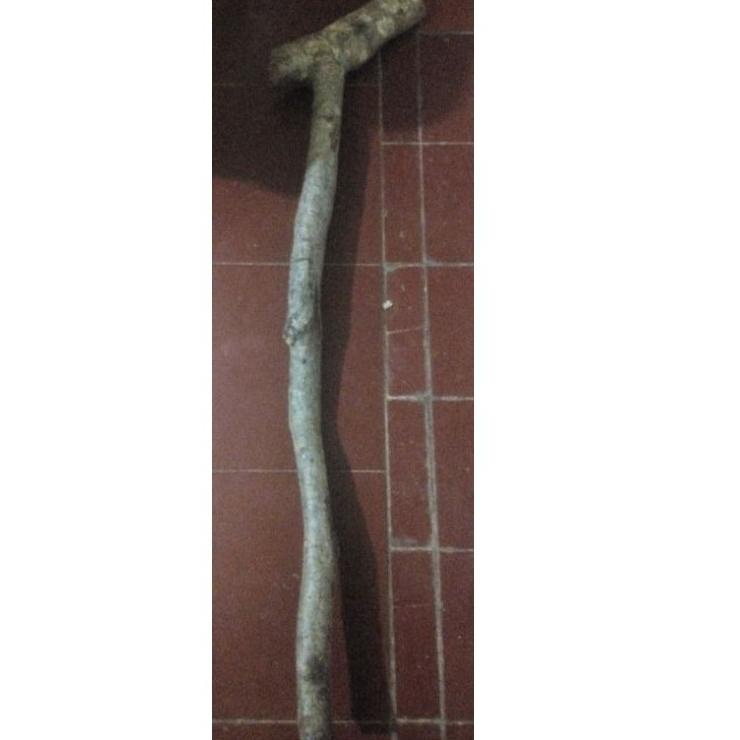 Dijamin Baru kayu kaboa sancang asli 10cm