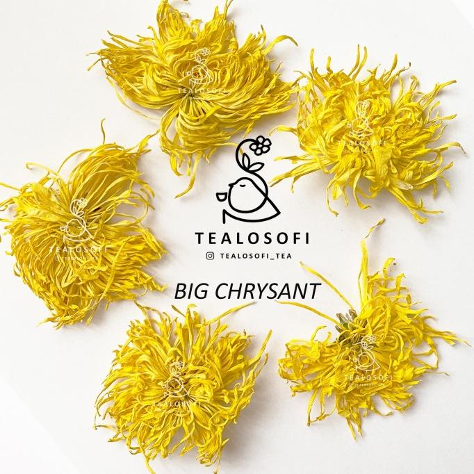 

Big Chrysant Herbal Flower - Teh Bunga Chrysanthemum Herbal Blooming Asli