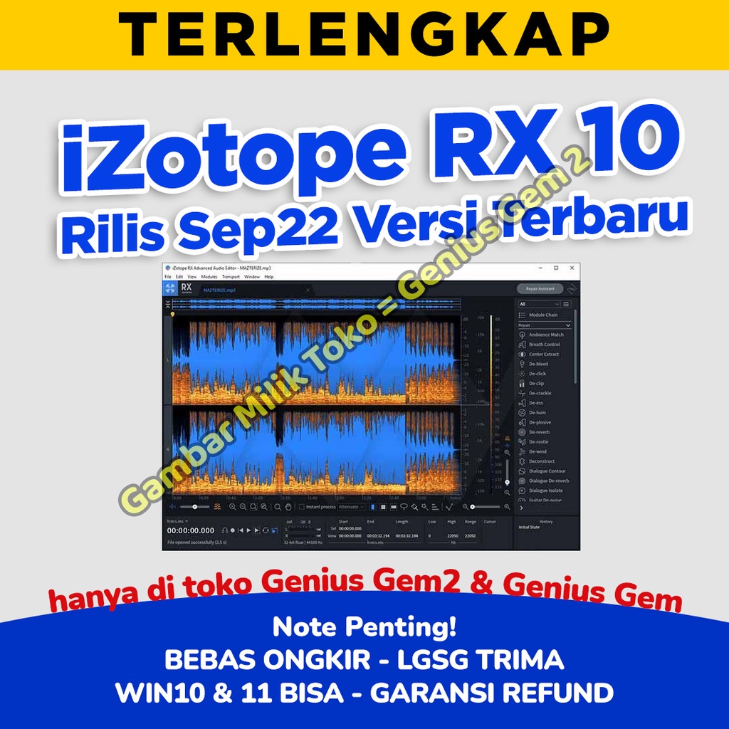 iZotope RX10