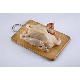 

Ayam Kampung 1 ekor | FREE minimal belanja 69rb CEK DESKRIPSI