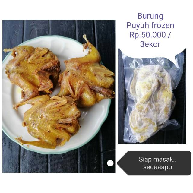 Burung puyuh frozen