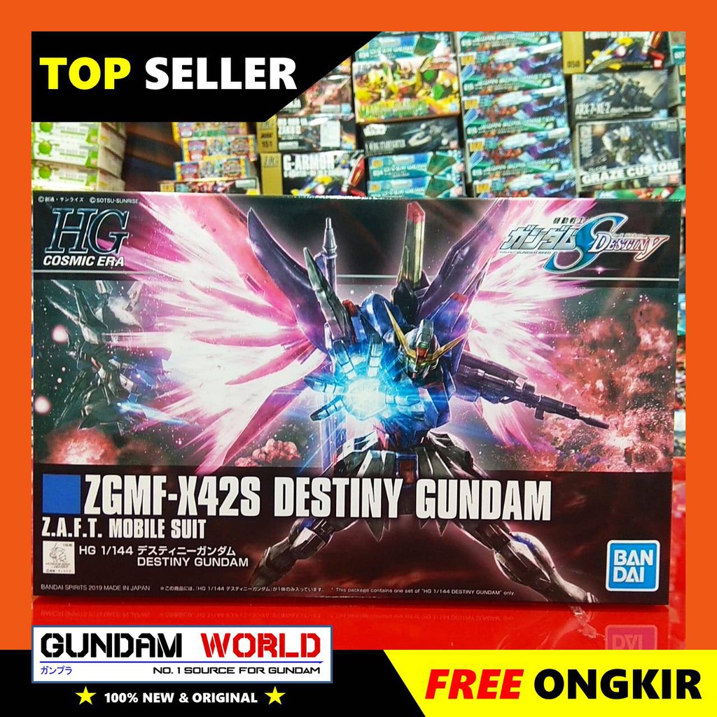 HG DESTINY GUNDAM REVIVE / HGCE DESTINY GUNDAM / HG GUNDAM DESTINY REVIVE