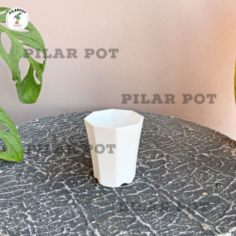 POT BUNGA TANAMAN MINI NKT PAGODA 5 PUTIH - NKT PAGODA 5 PUTIH