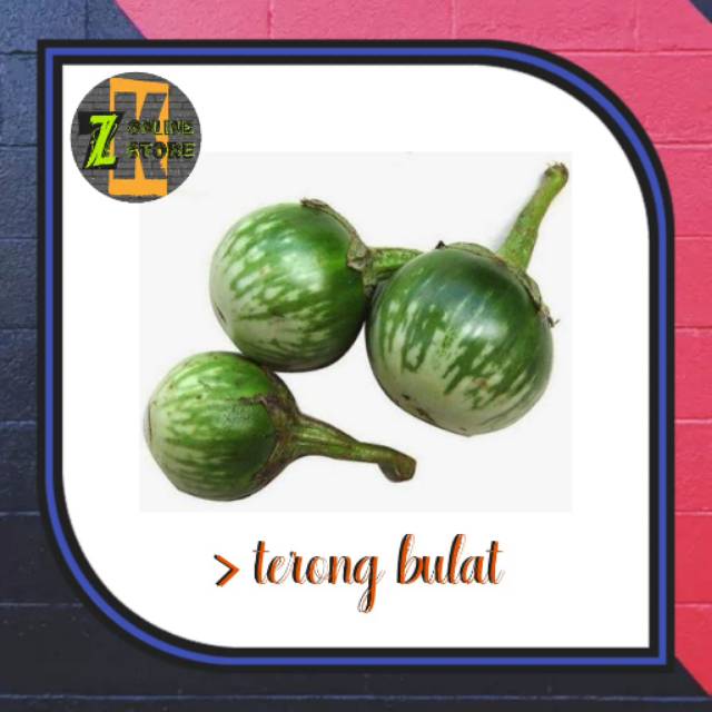 

Terong bulat (250gr)