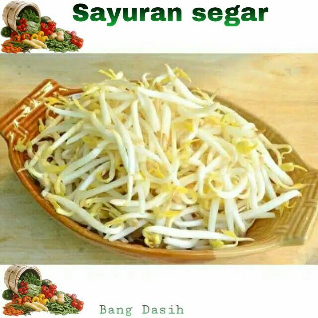 

Tauge segar 1000gr