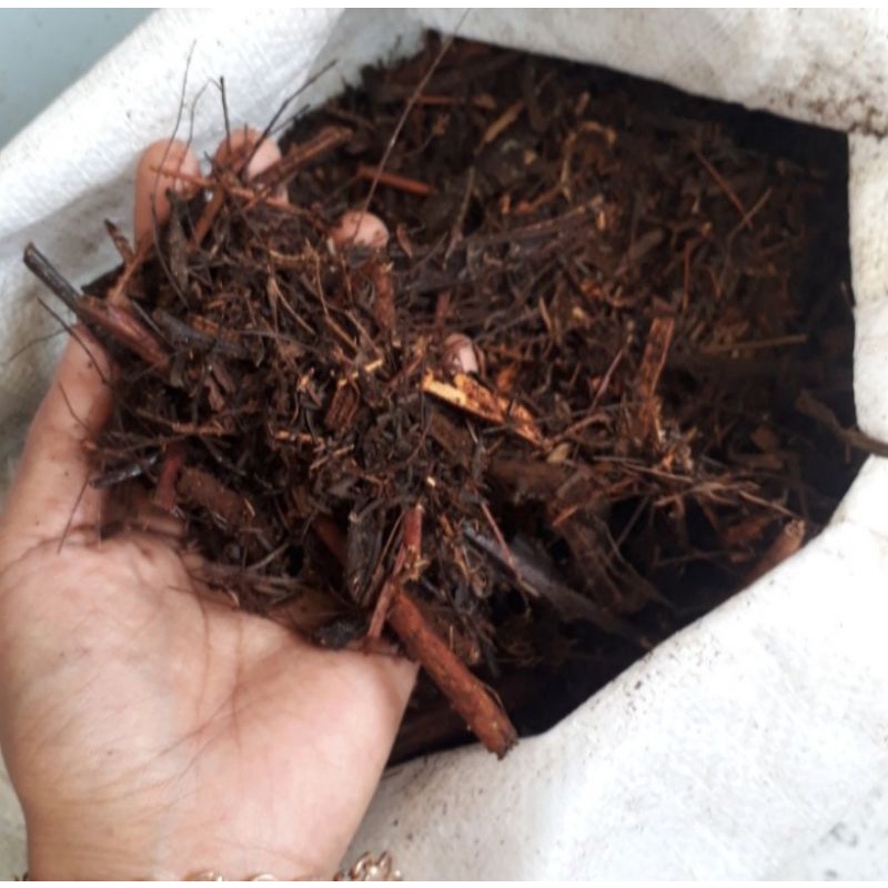 media tanam andam, Andam 500 gram