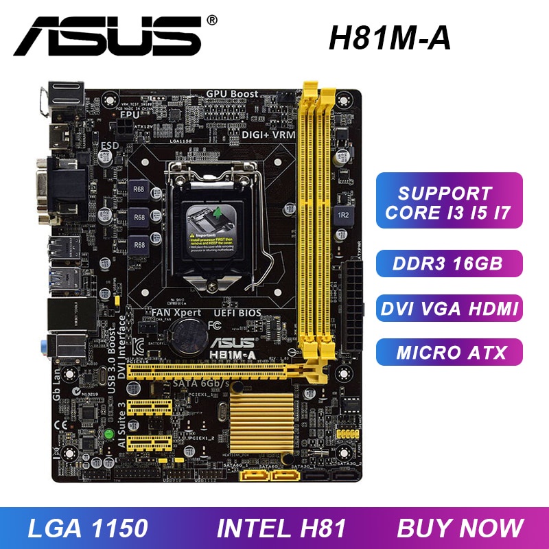 PREORDER ASUS H81M-A Motherboard 1150 Motherboard DDR3 Support Xeon E3-1245 V3 Core i5-4690K Cpus In
