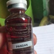 essen diva 30ml aroma pandan