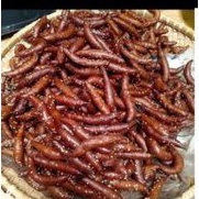 

Deppa Tori/Kue khas Mamasa 1/2 kg