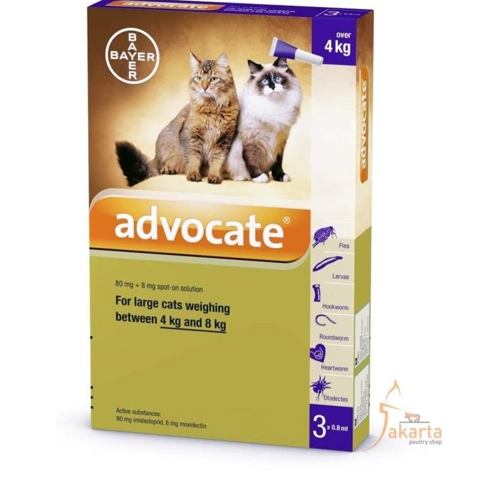 Advocate Cat Large - Obat Kutu Kucing 4 - 8 Kg (1 TUBE)