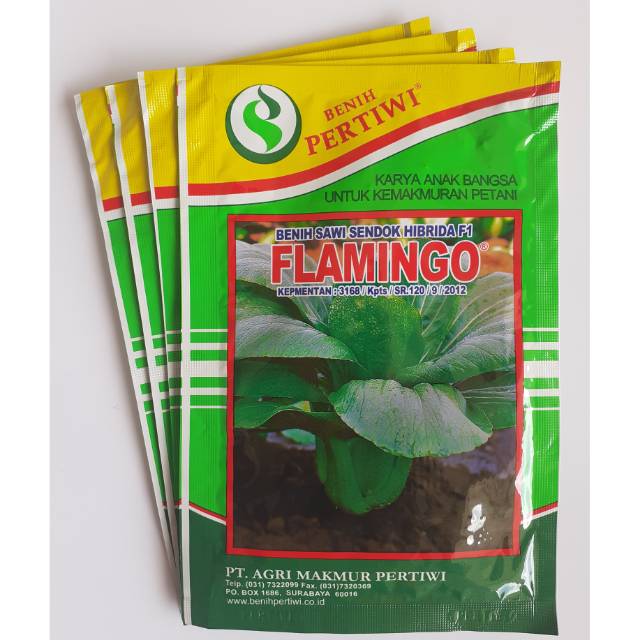 Benih Sawi Sendok Flamingo 10 gr