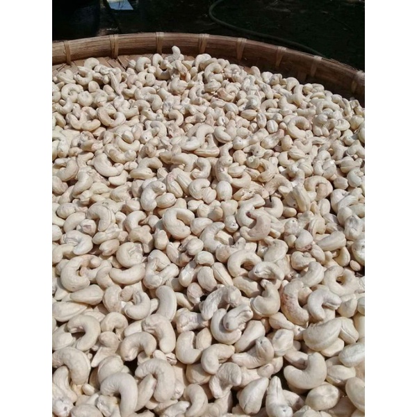 

kacang mete mentah 1kg