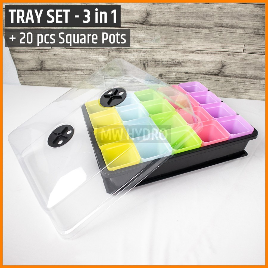 Tray + Base + Cover (3 in 1) INCLUDE 20 pcs 7cm Square Pot / Pot Kotak