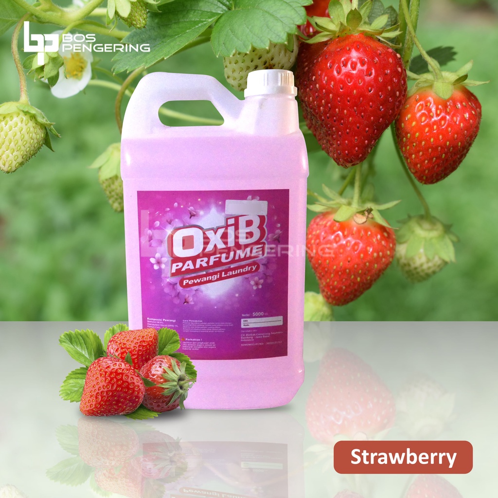 Pewangi Pakaian Laundry - OxiB Parfum Aroma Strawberry 5Liter Sweet Tahan Lama