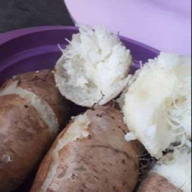 

GEMBILI PULEN