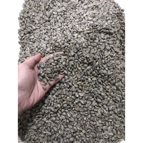 

Greenbean arabica specialty sapan