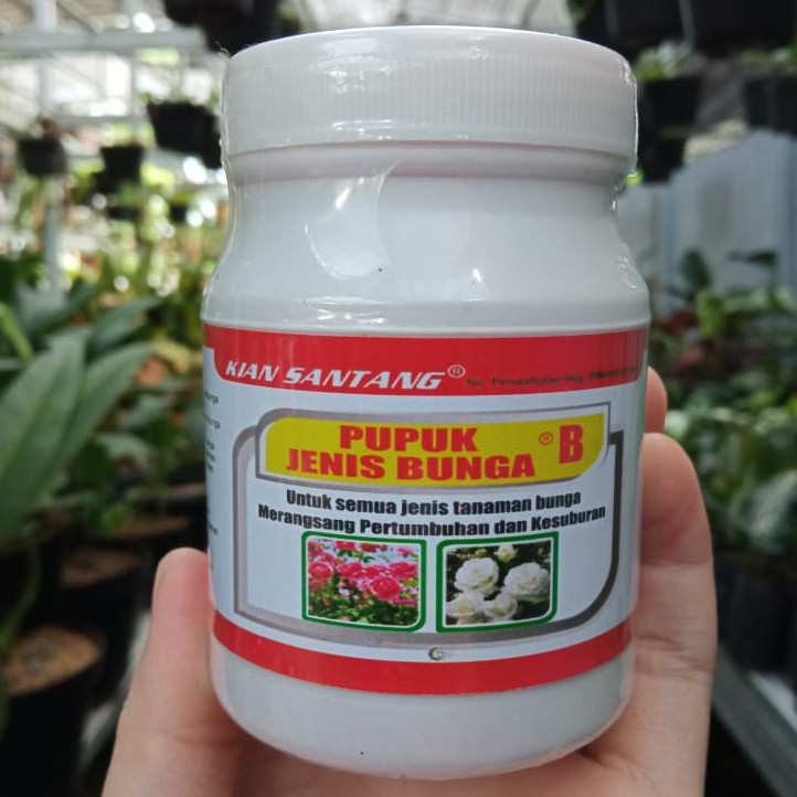 Jual Pupuk Tanaman Jenis Bunga B / Pupuk Kian Santang | Shopee Indonesia