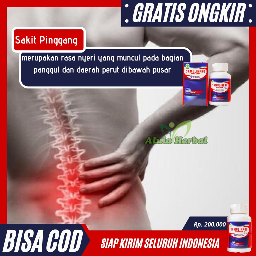 Obat Sakit Pinggang Sebelah Kanan, Kiri, Tulang belakang Bawah Herbal