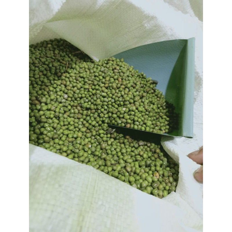 

kacang hijau lokal super kualitas exspor kacang ijo bubur kacang hijau murah 200 gram