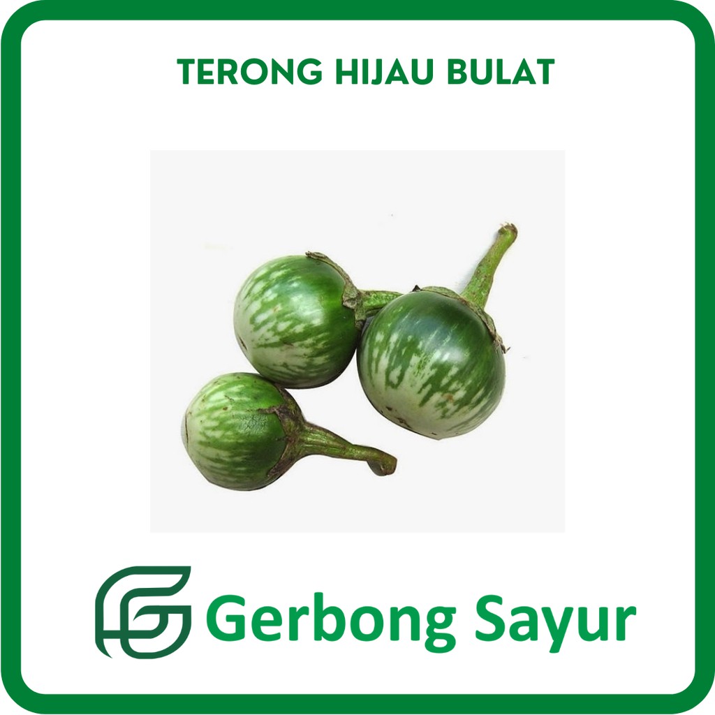 

Terong Hijau Bulat Segar - 250g