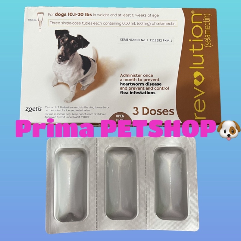 Revolution Bown DOG untuk Anjing dengan berat 4.5kg - 9kg for dog 10.1 - 20 lbs