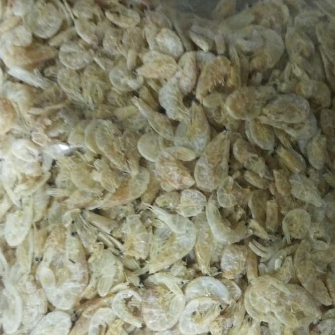 

338j udang rebon super bwuv