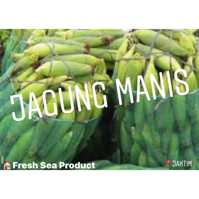 

Jagung Manis Blm Kupas