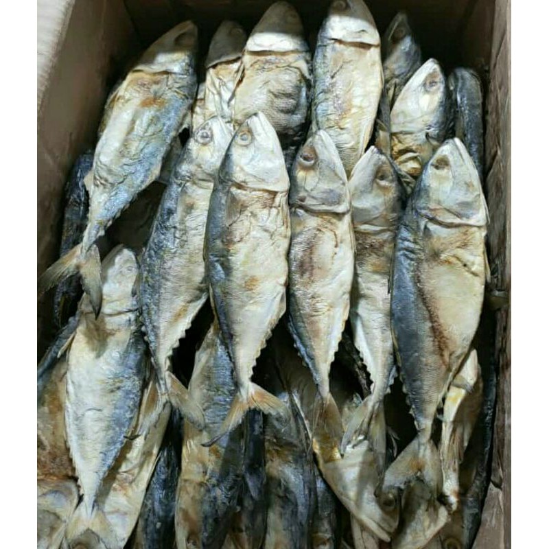 

ikan kembung pisang