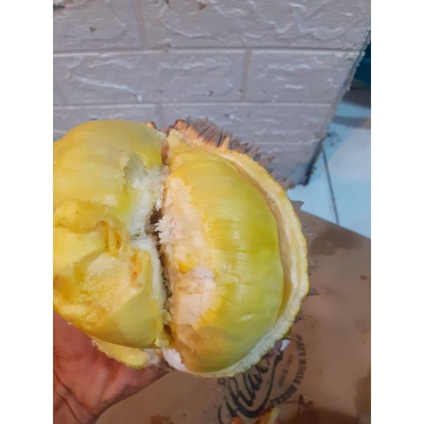 

Durian Montong