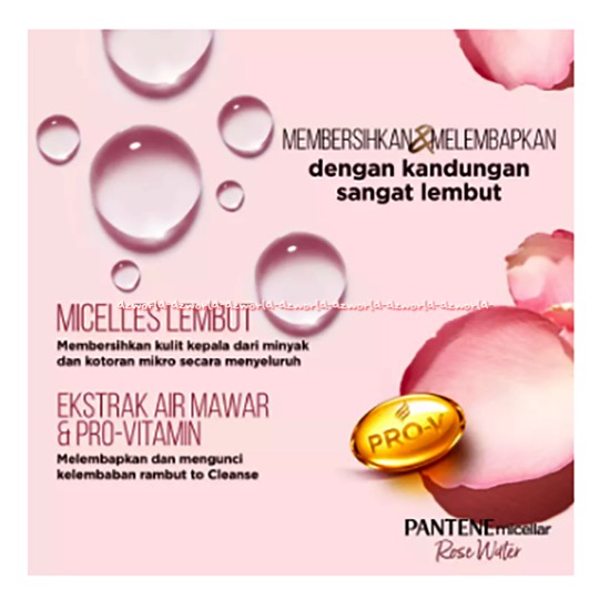 Pantene Micellar 530ml Detox &amp; Hydrate Rose Water Extract Scalp Light Conditioner Kondisioner Pentin Mengatasi Rambut Kering Dry Hair