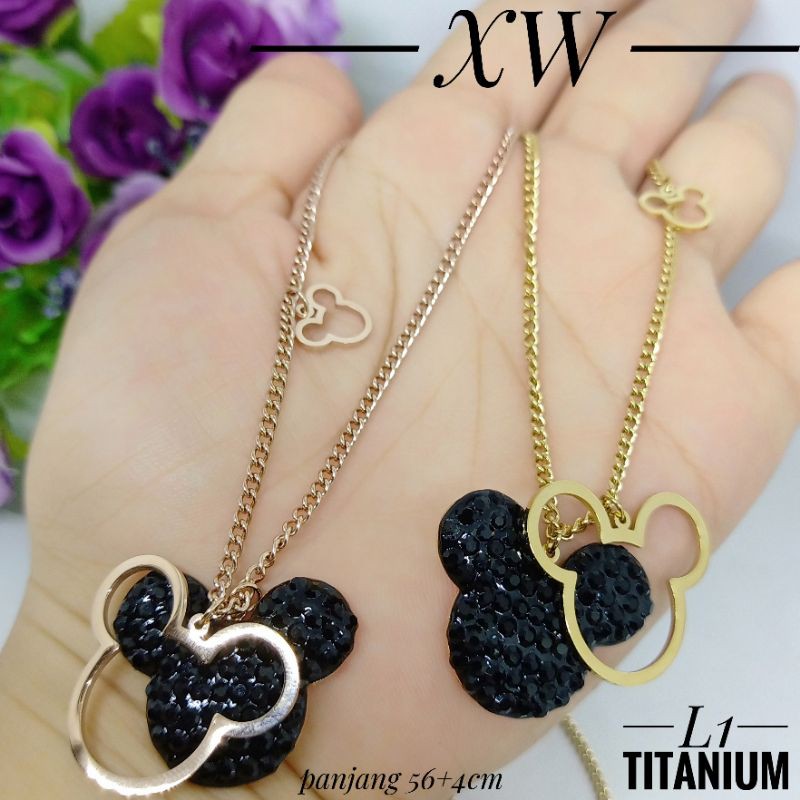 Kalung Titanium 60cm XW025