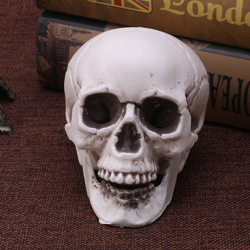 Mary Plastik Manusia Mini Skull Decor Prop Skeleton Untuk Kepala Halloween Coffee Bars Orna