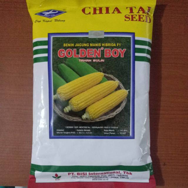 Benih Bibit Jagung Manis F1 GOLDEN BOY 500 Gr