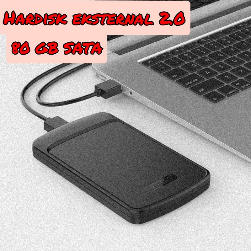 Hardisk Eksternal 80 GB Sata