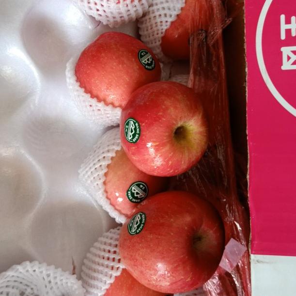 

➸ Apple Fuji Wang shan premium ❄