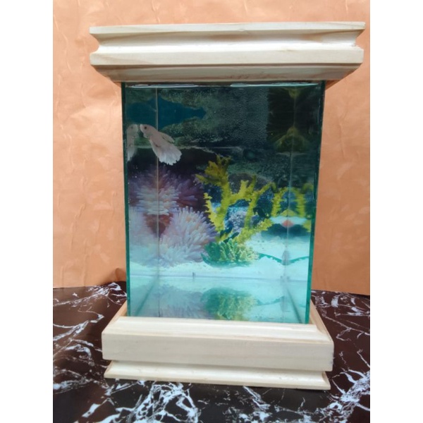 akuarium ikan cupang