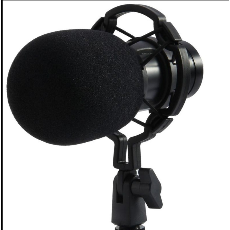 microphone BM800