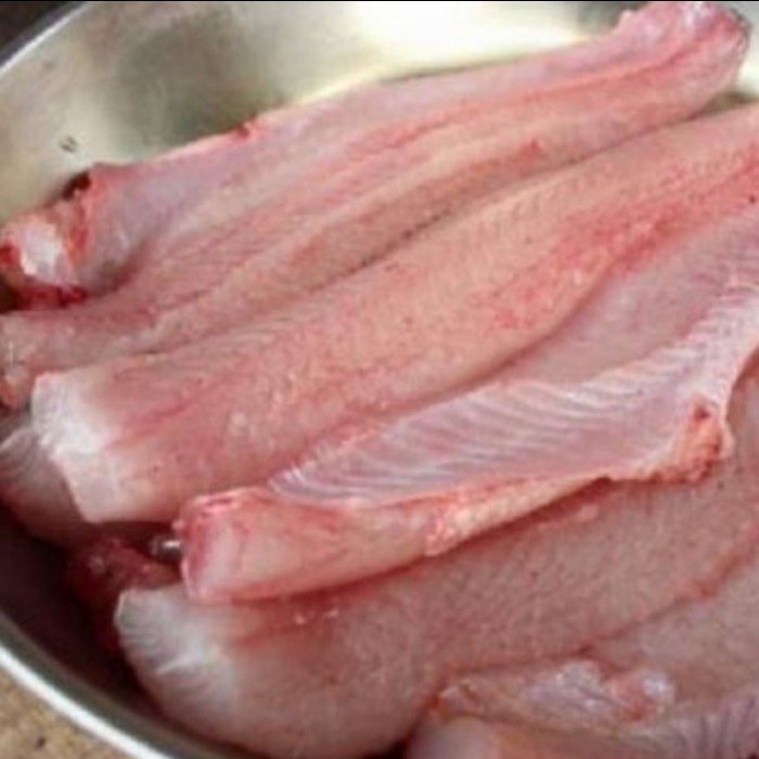 

Ikan Gabus Hidup Fillet 500Gr