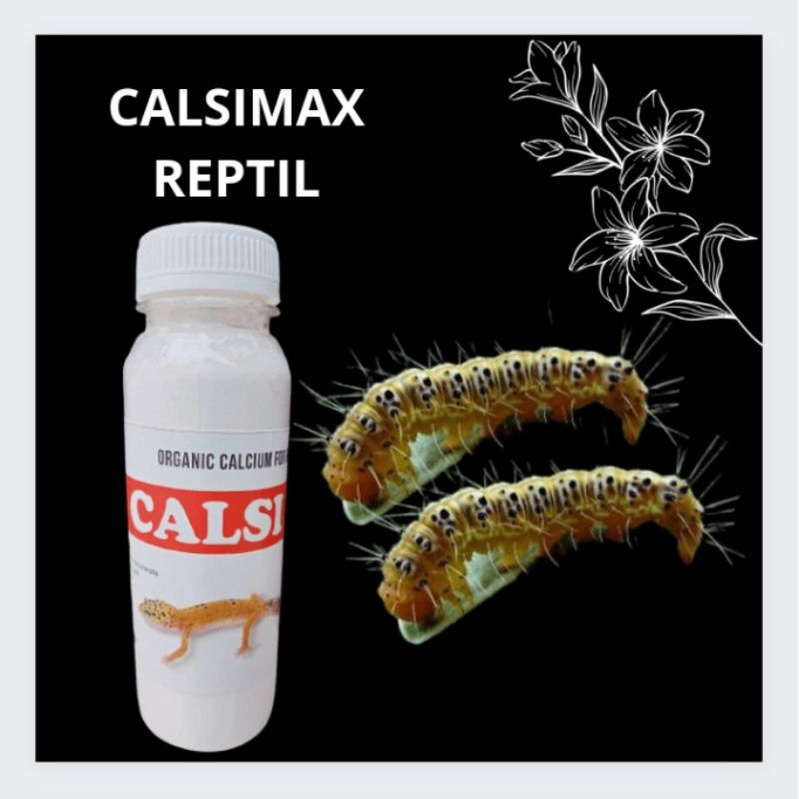 Pakan Ular Pucuk, CALSIMAX REPTIL, Pakan Ular Pucuk Terlaris