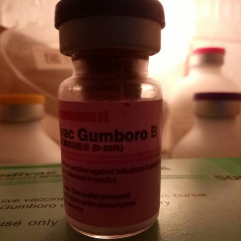 Gumboro B/vaksin gumboro B 500/vaksin ayam/vaksin tetes/vaksin minum